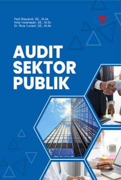 Audit Sektor Publik